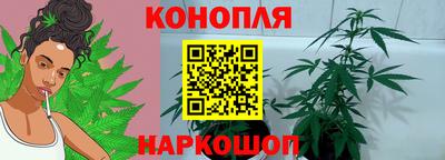 винт Будённовск