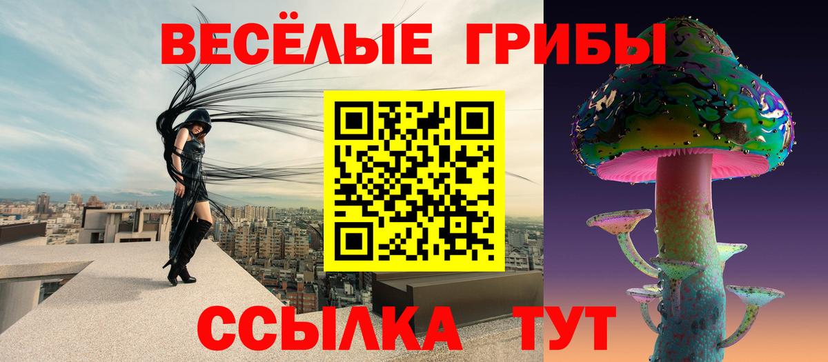 хочу   Галлюциногенные грибы Psilocybe  Вход с VPN  Вольск  Галлюциногенные грибы MAGIC MUSHROOMS 