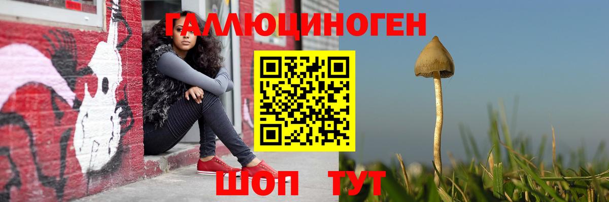Галлюциногенные грибы мицелий Вольск